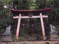 魔王天神社の狛犬に挟まれた階段手前の鳥居の写真
