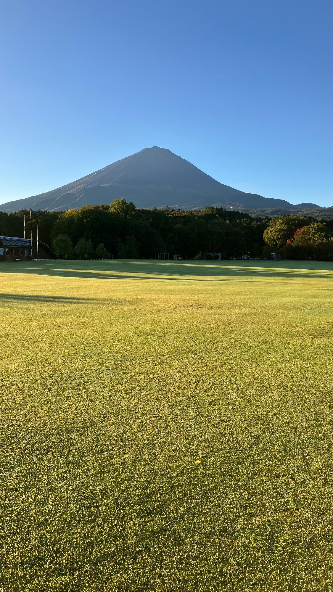 芝生と富士山(朝)