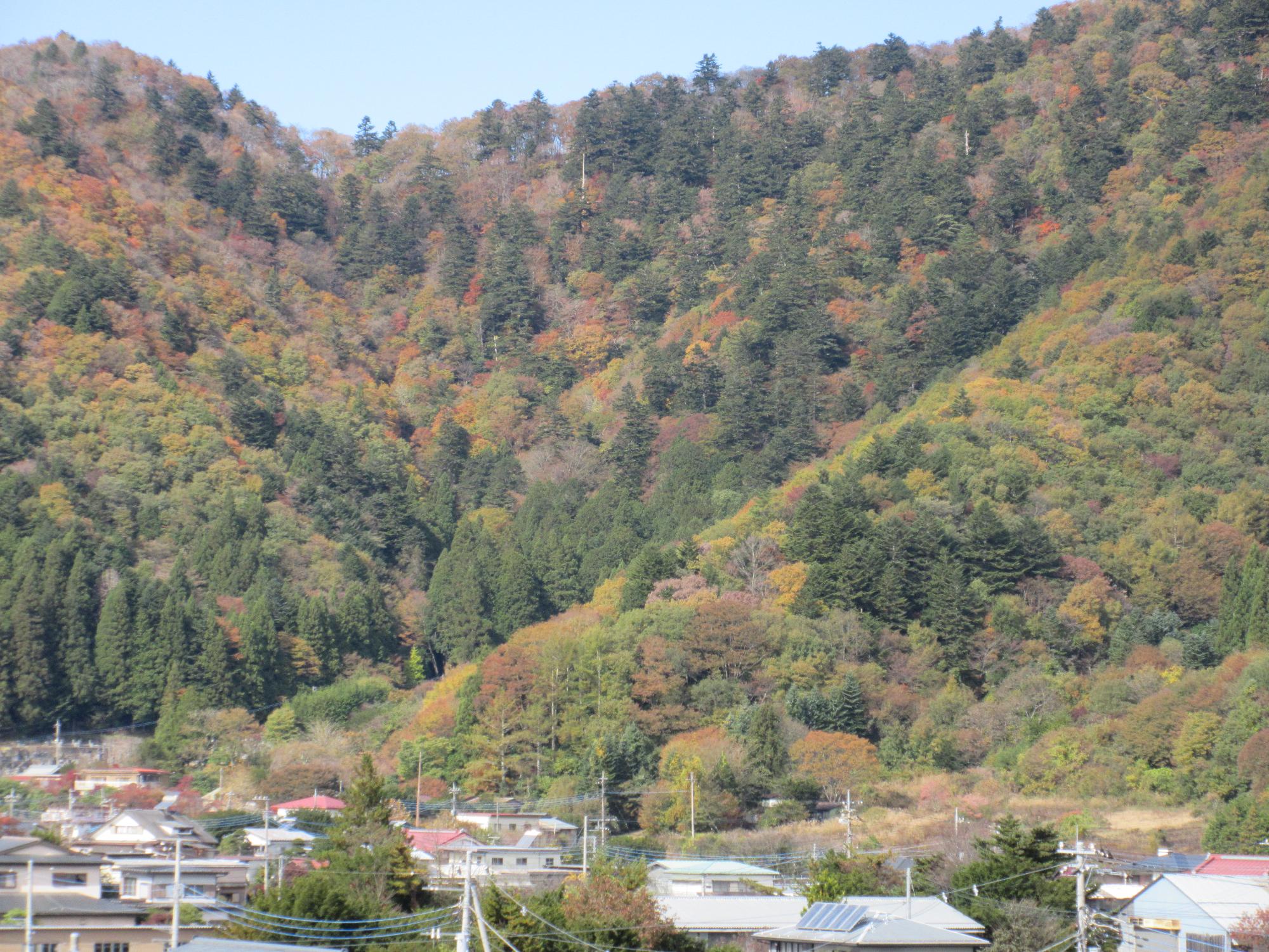 令和6年11月11日 足和田山