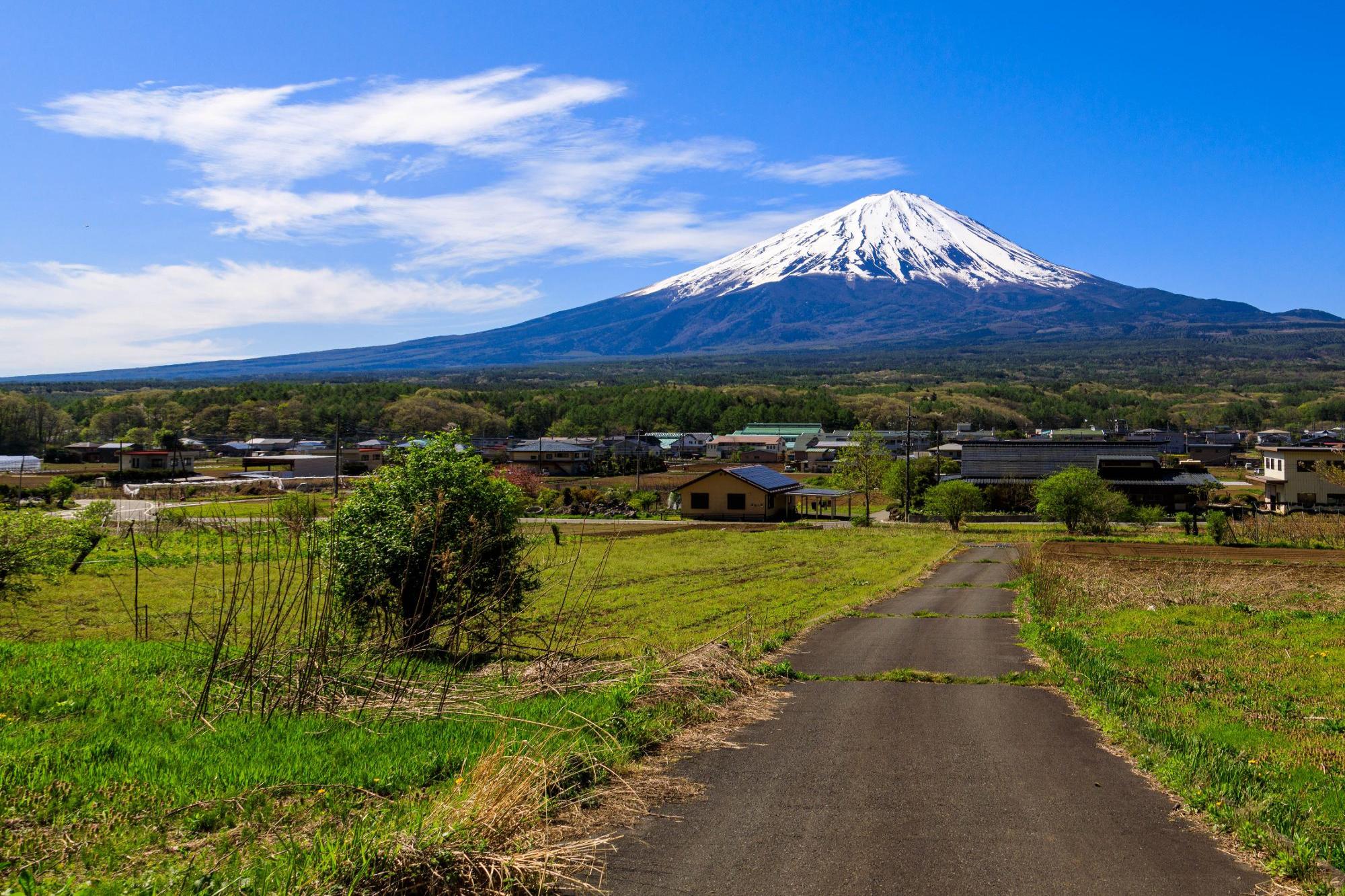 初夏の風景