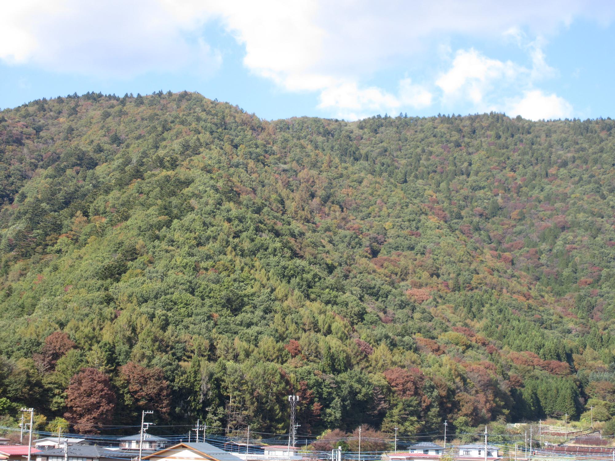 令和5年10月26日 足和田山