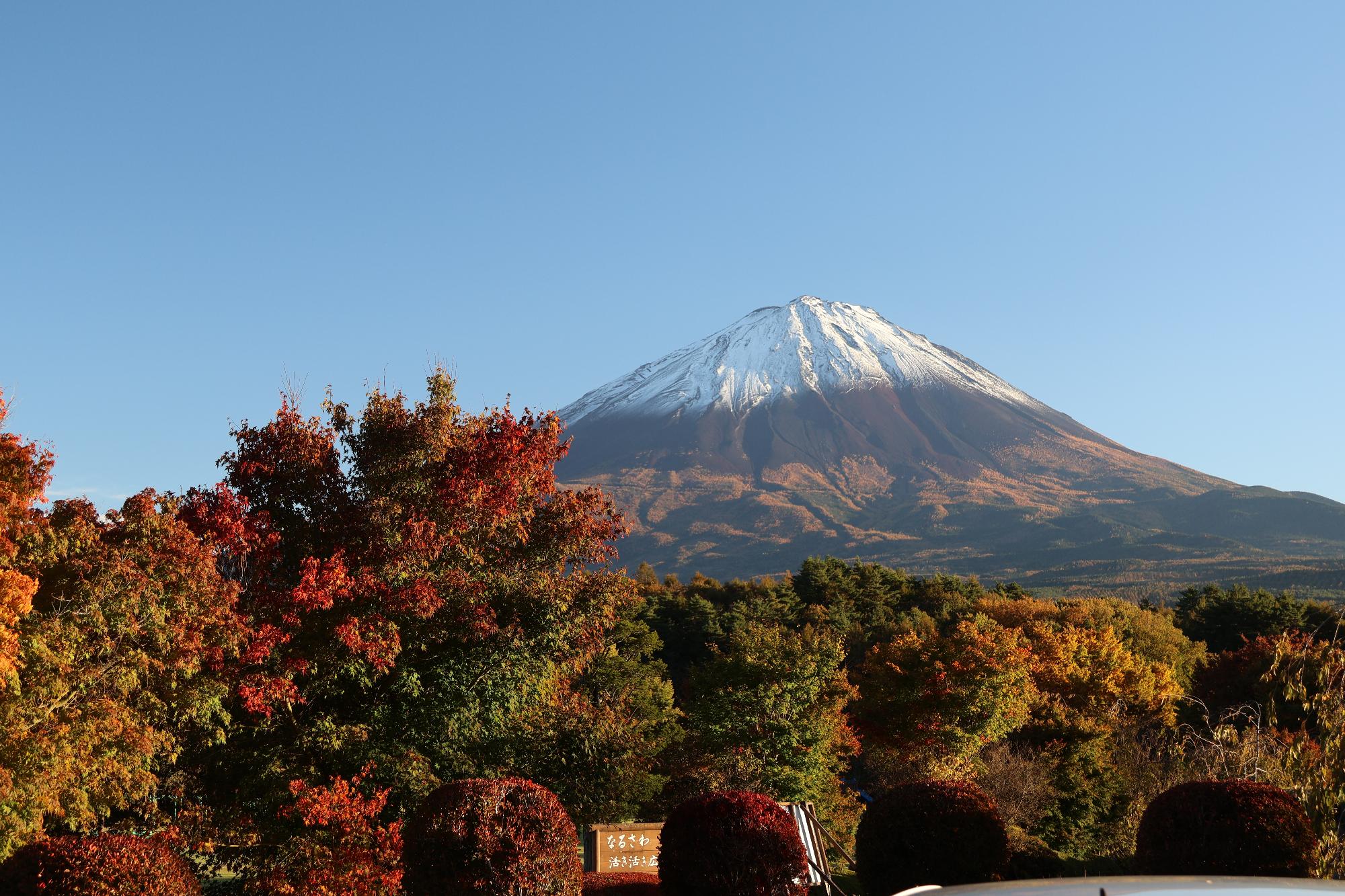 鳴沢村活き活き広場