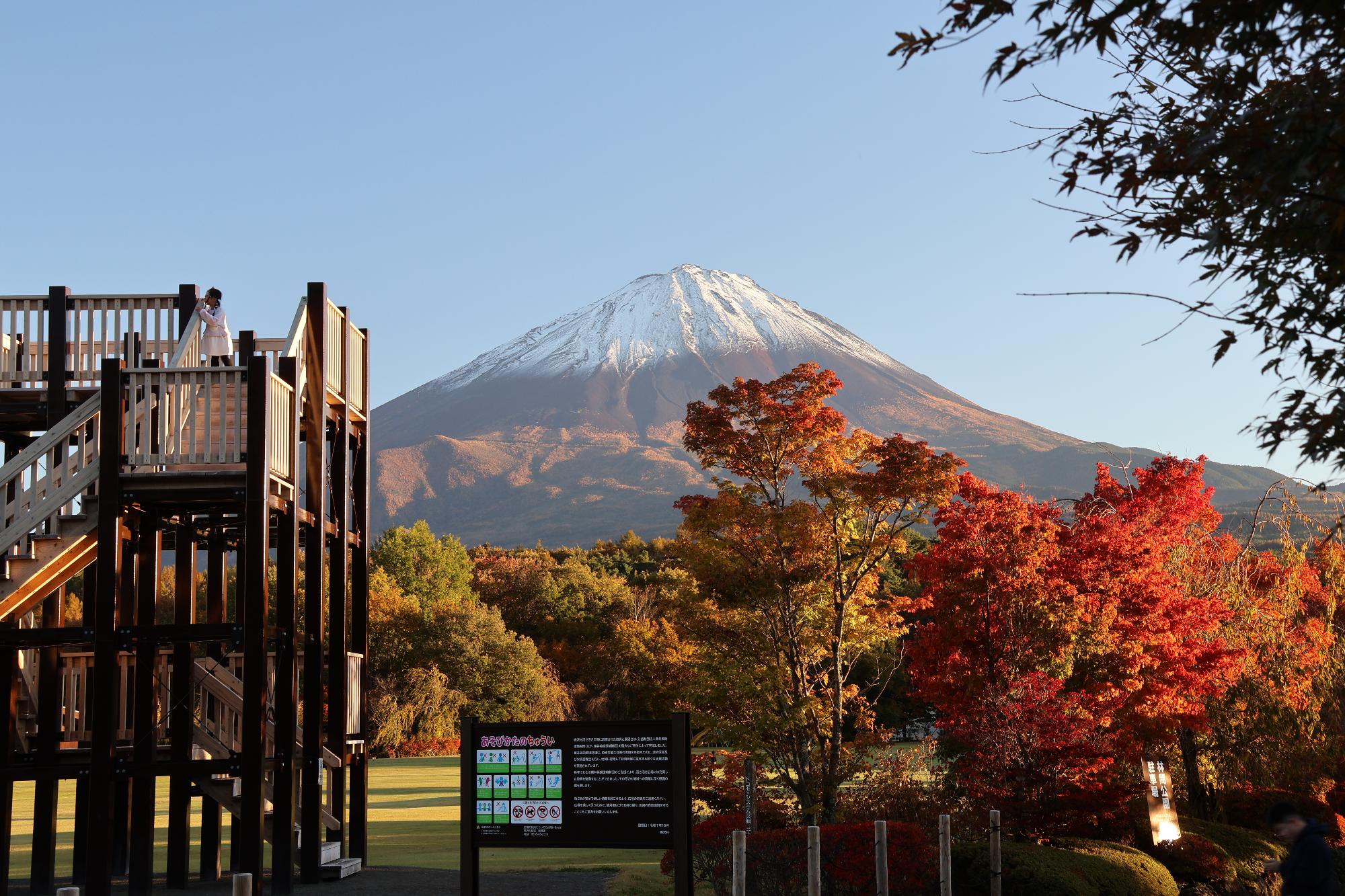 鳴沢村活き活き広場