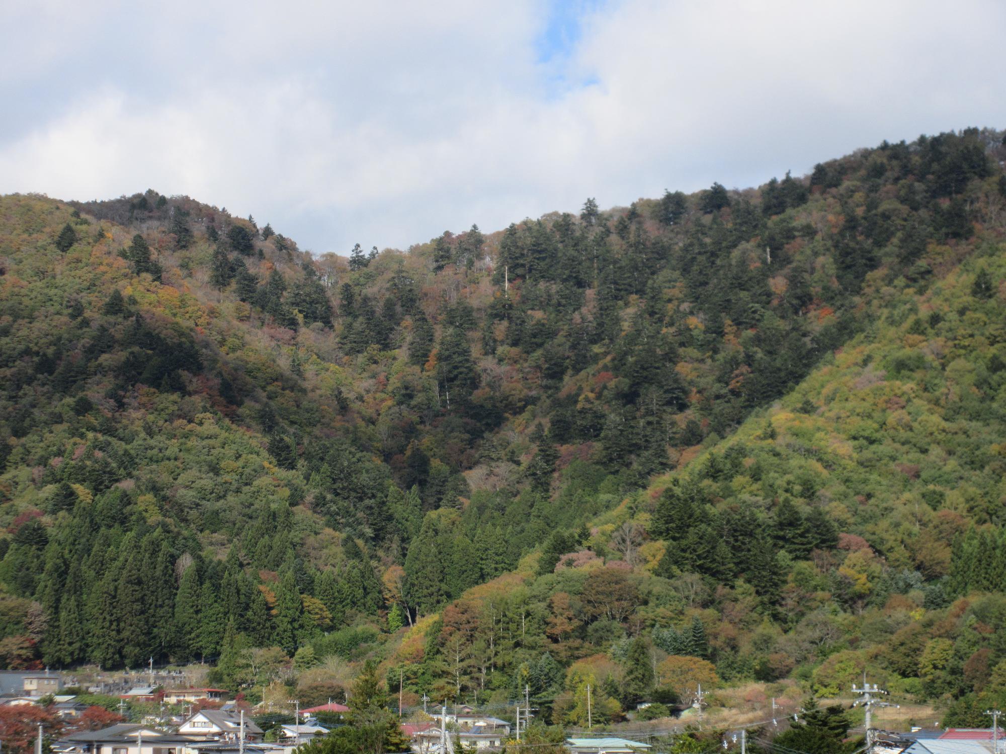 令和6年11月8日 足和田山