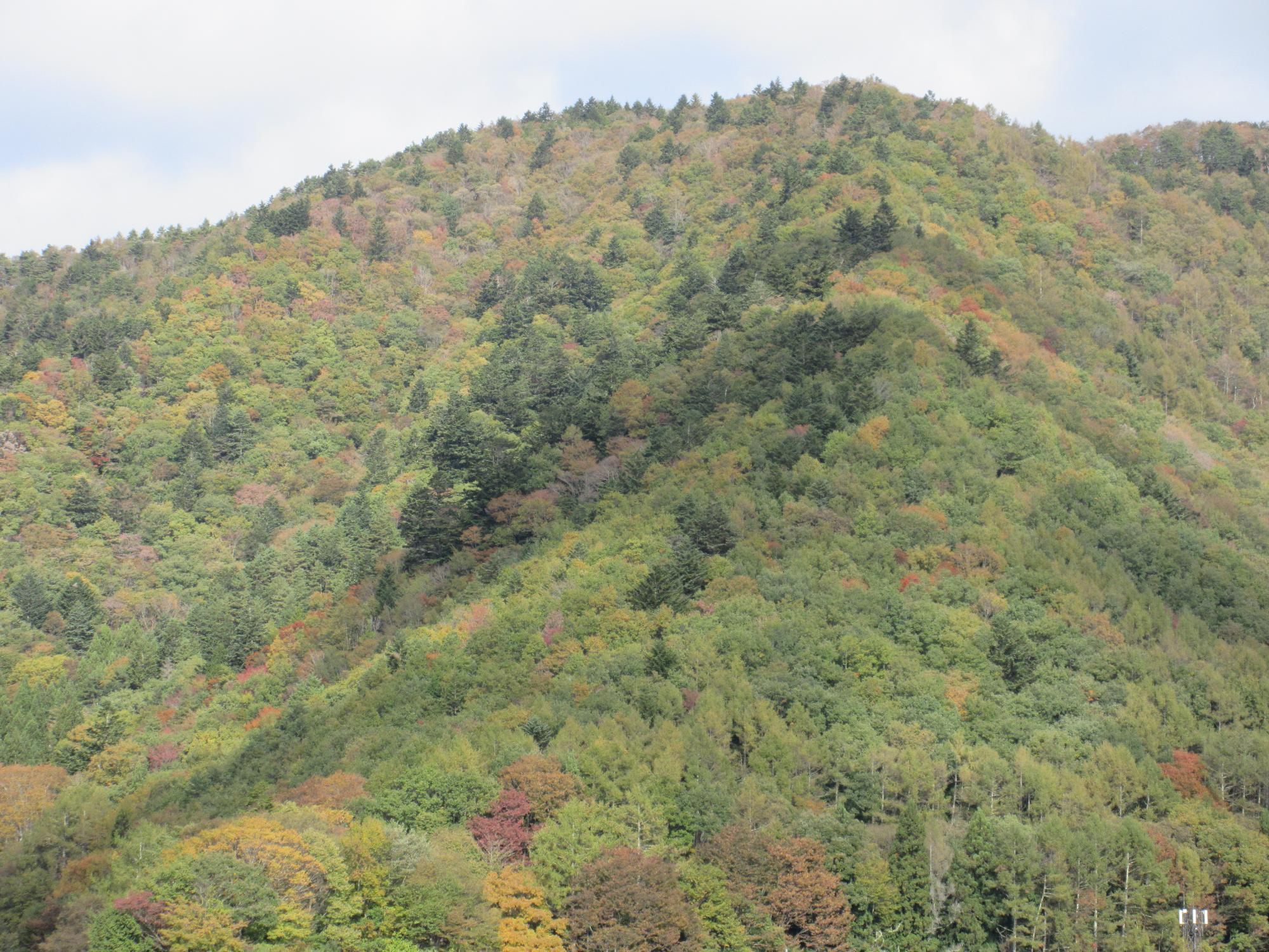 令和6年11月8日 足和田山