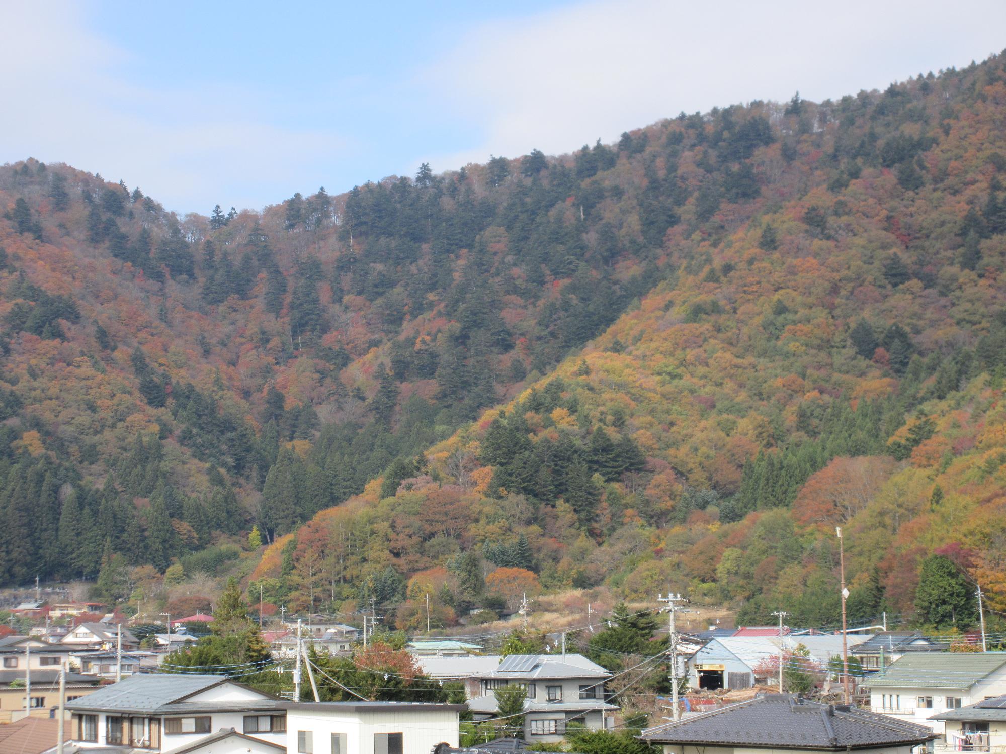 【紅葉】11月14日足和田山