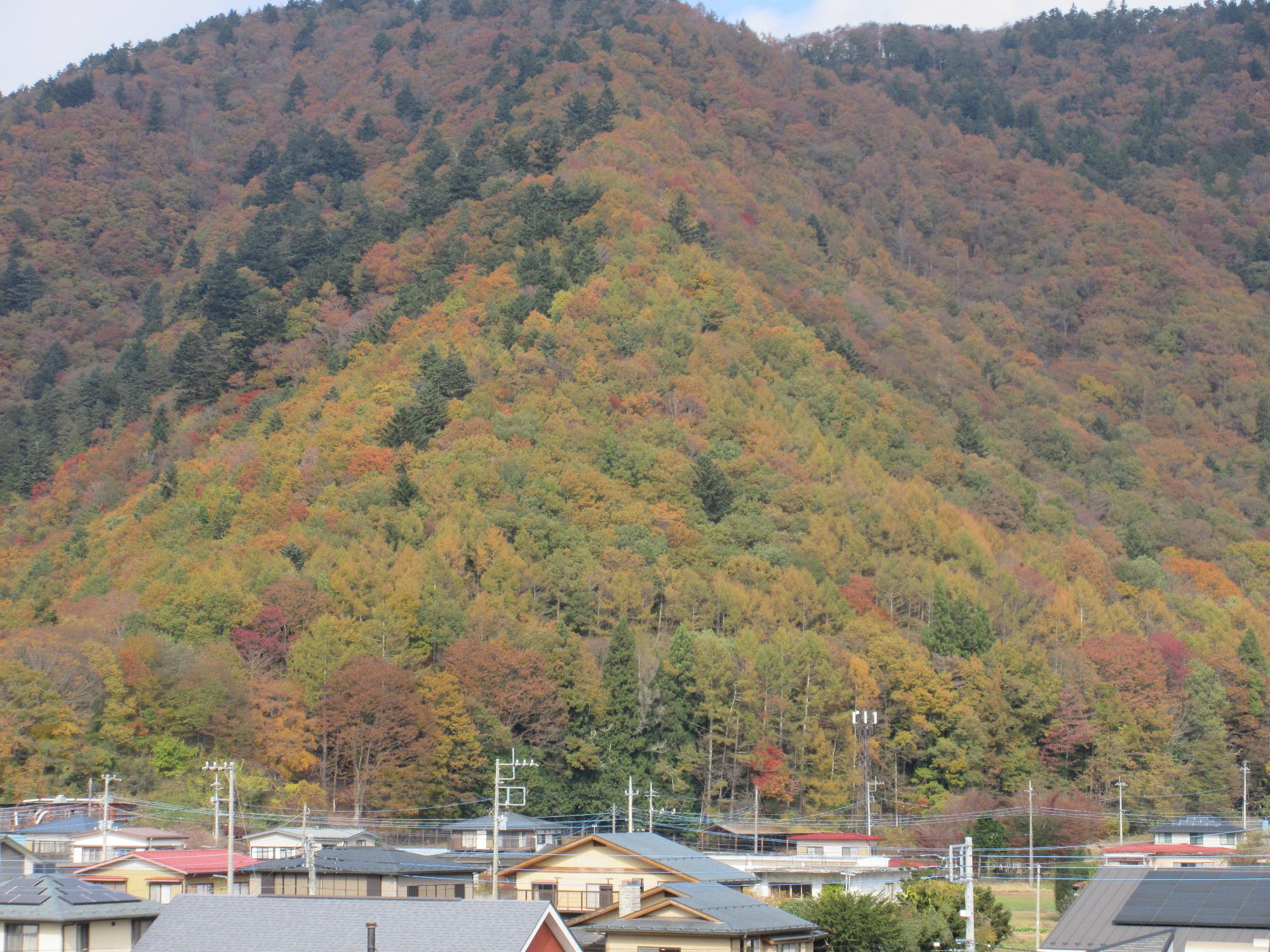 【紅葉】1114足和田山