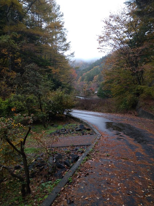 令和6年11月15日 足和田山入口