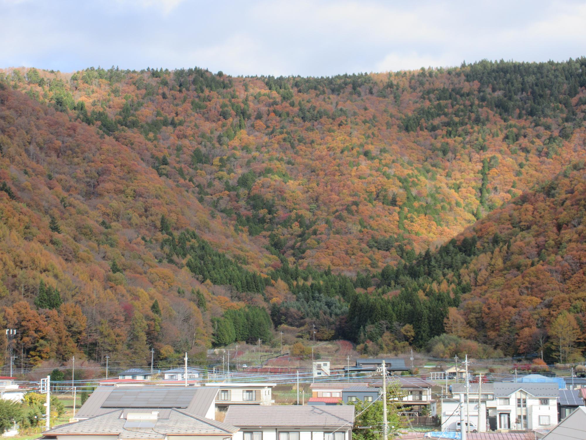11月18日紅葉台1
