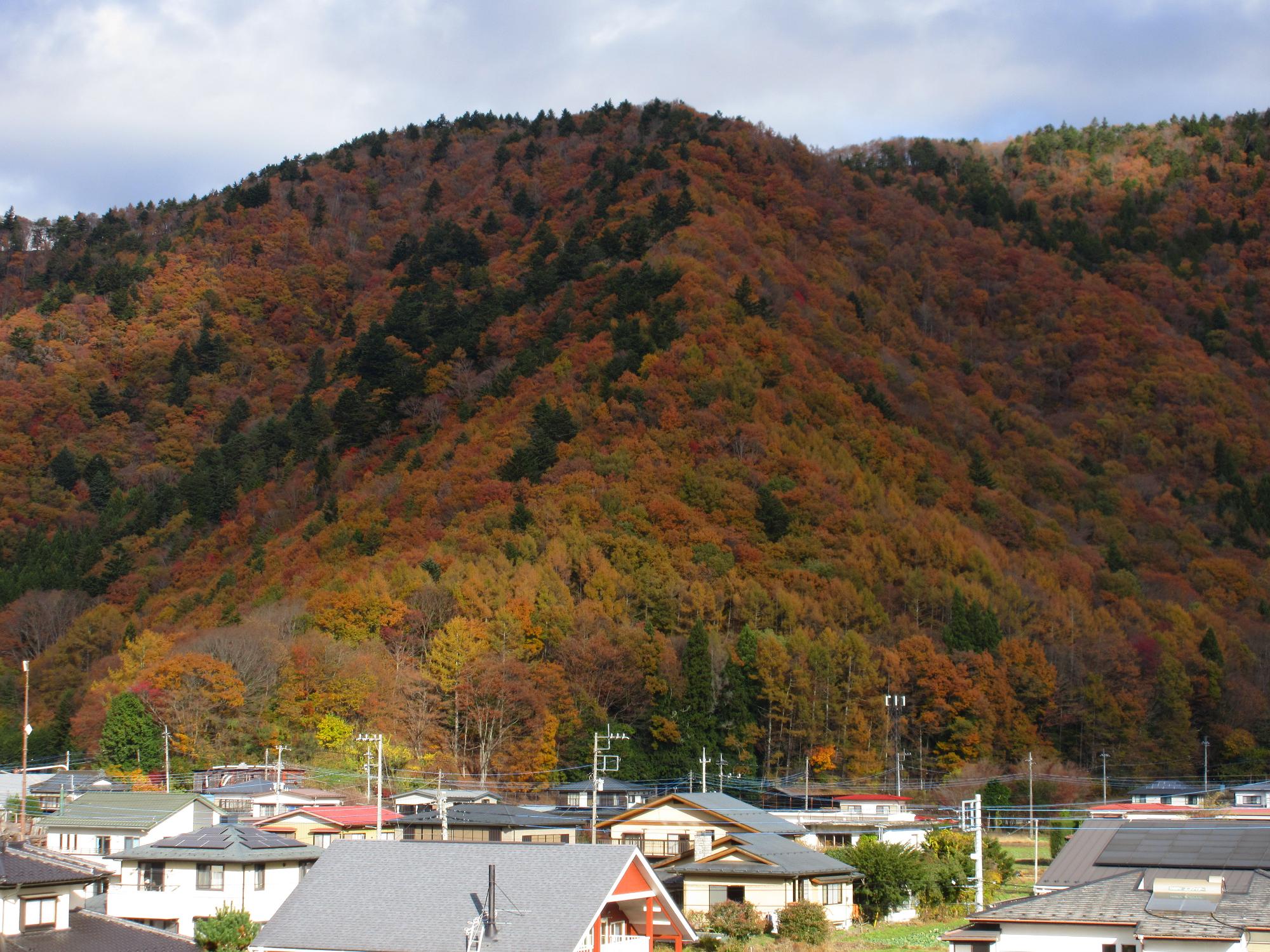 11月18日紅葉台3