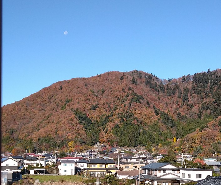 令和6年11月19日 足和田山 2