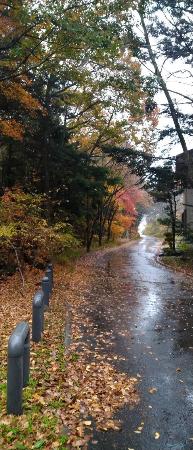 魔王天神社に続く道