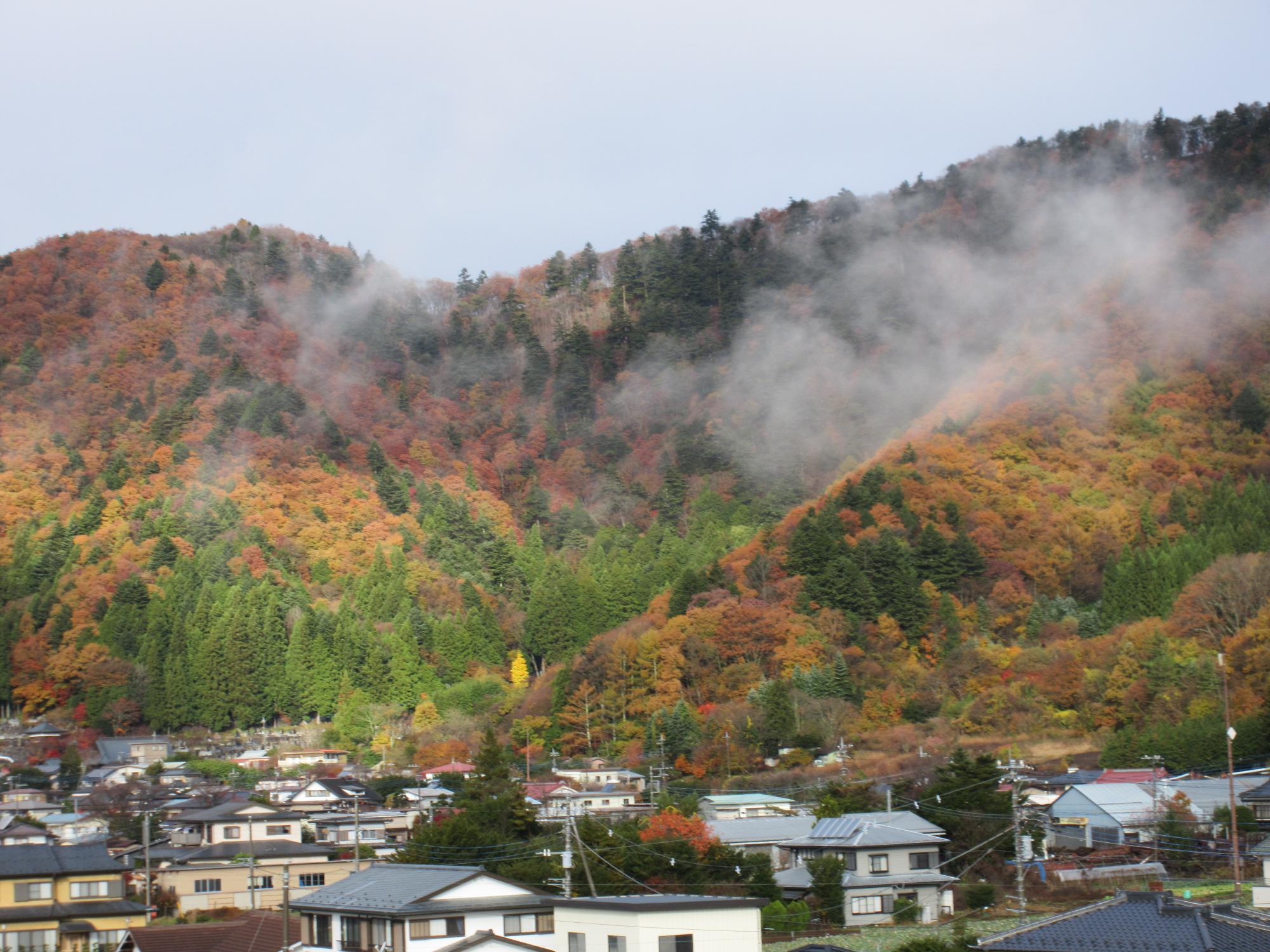 令和6年11月21日足和田山1