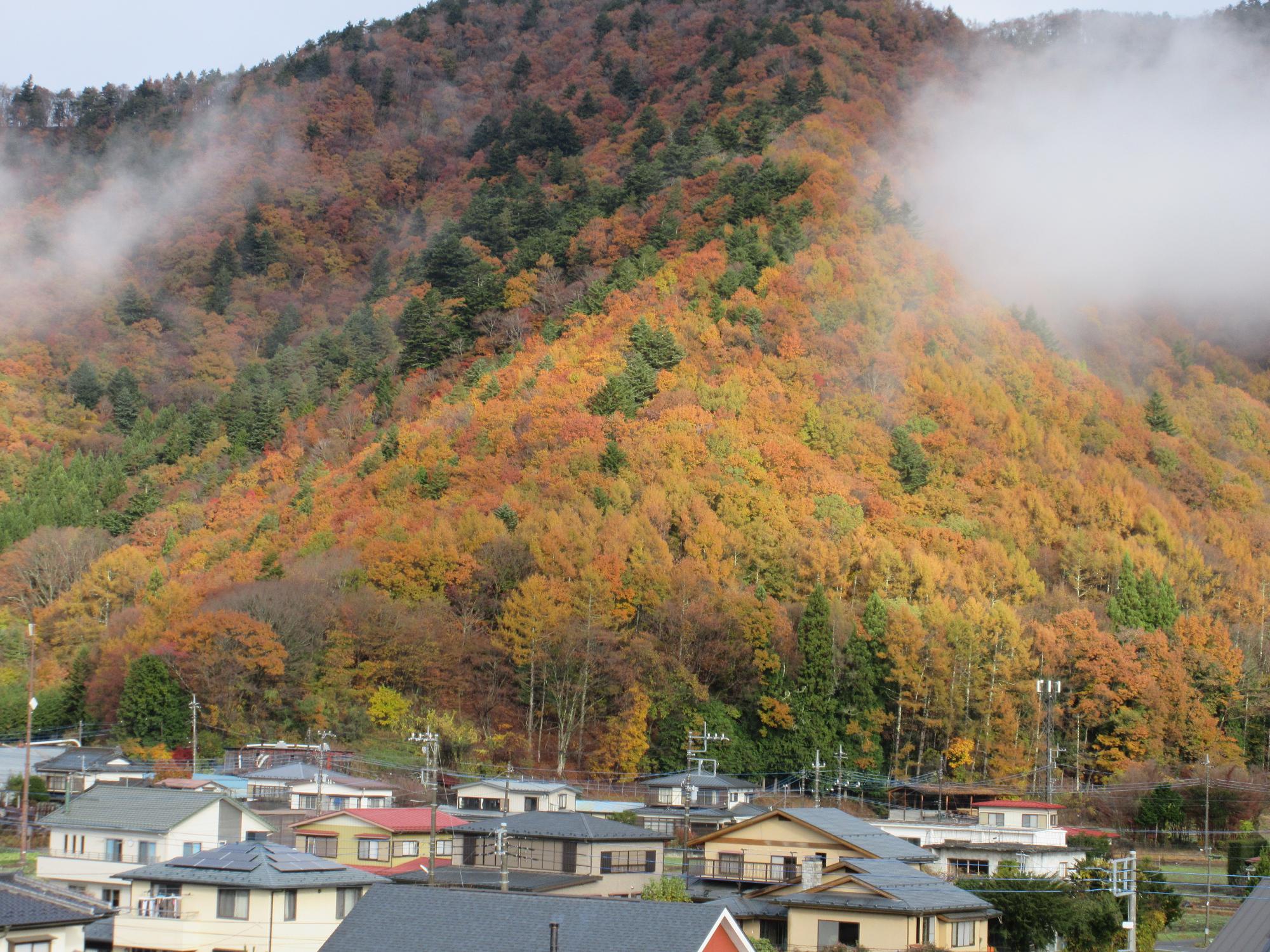 令和6年11月21日 足和田山2