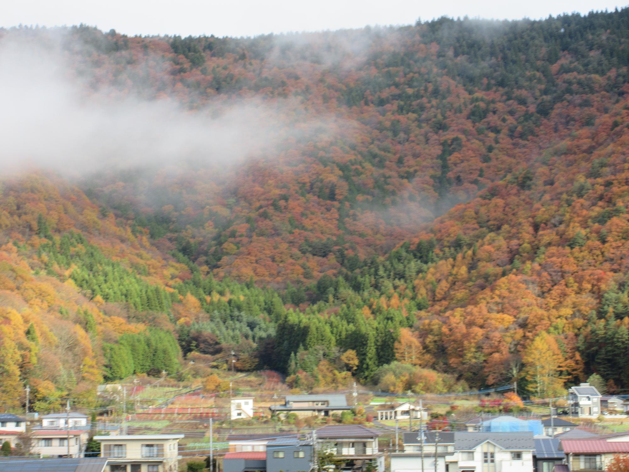 令和6年11月21日足和田山3
