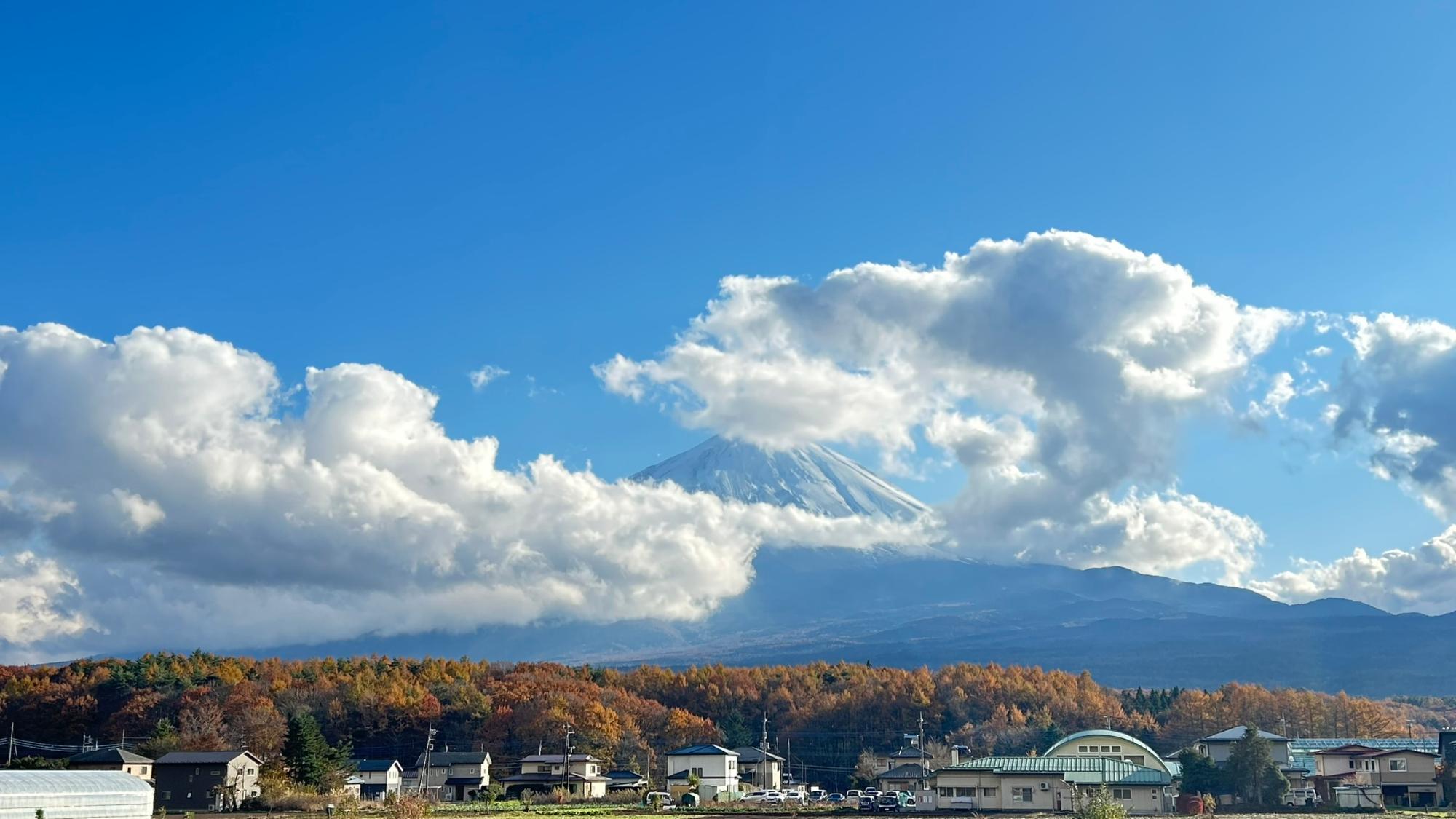 令和6年11月21日 臼田和からの富士山と紅葉