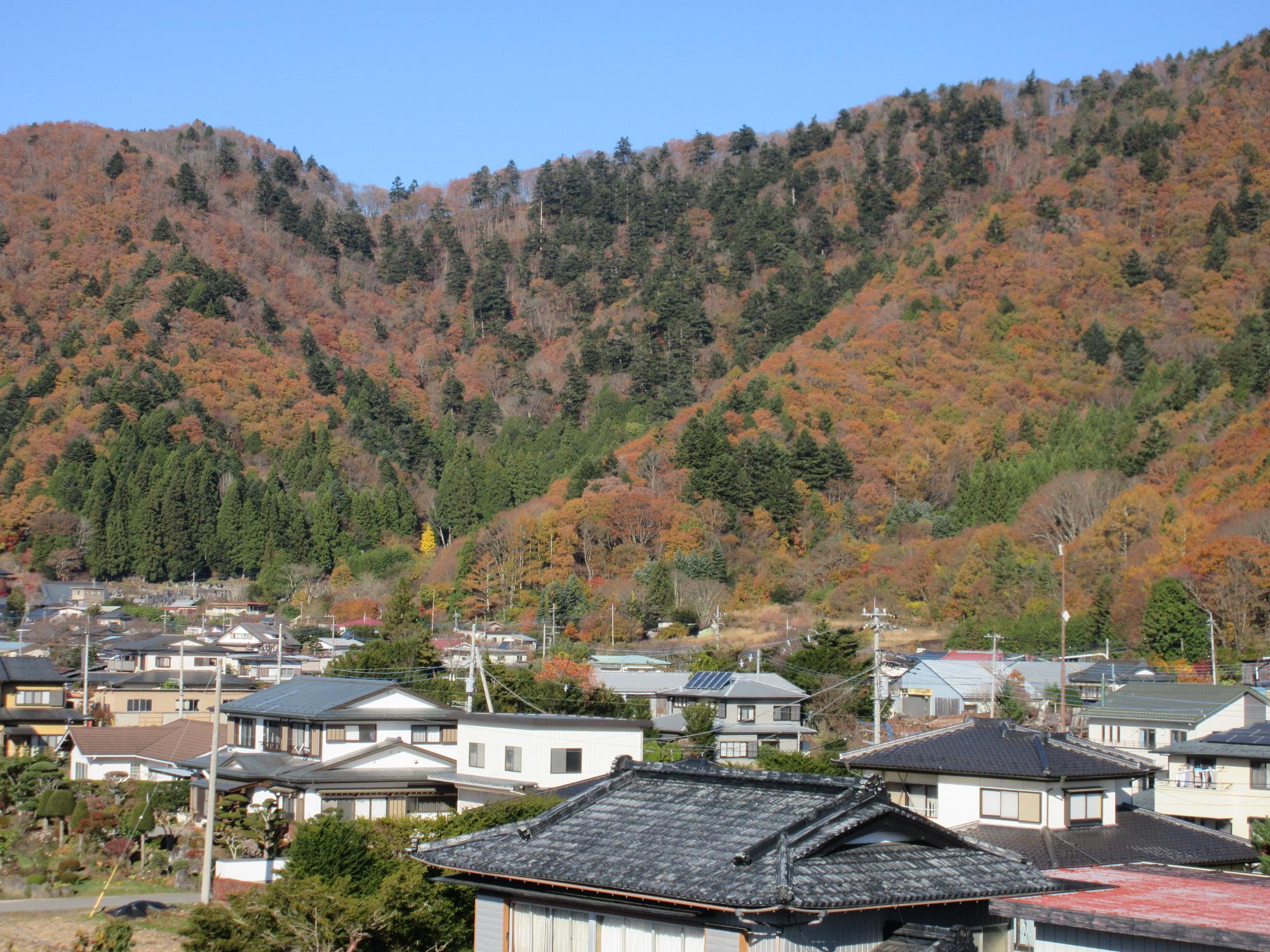 令和6年11月22日足和田山1