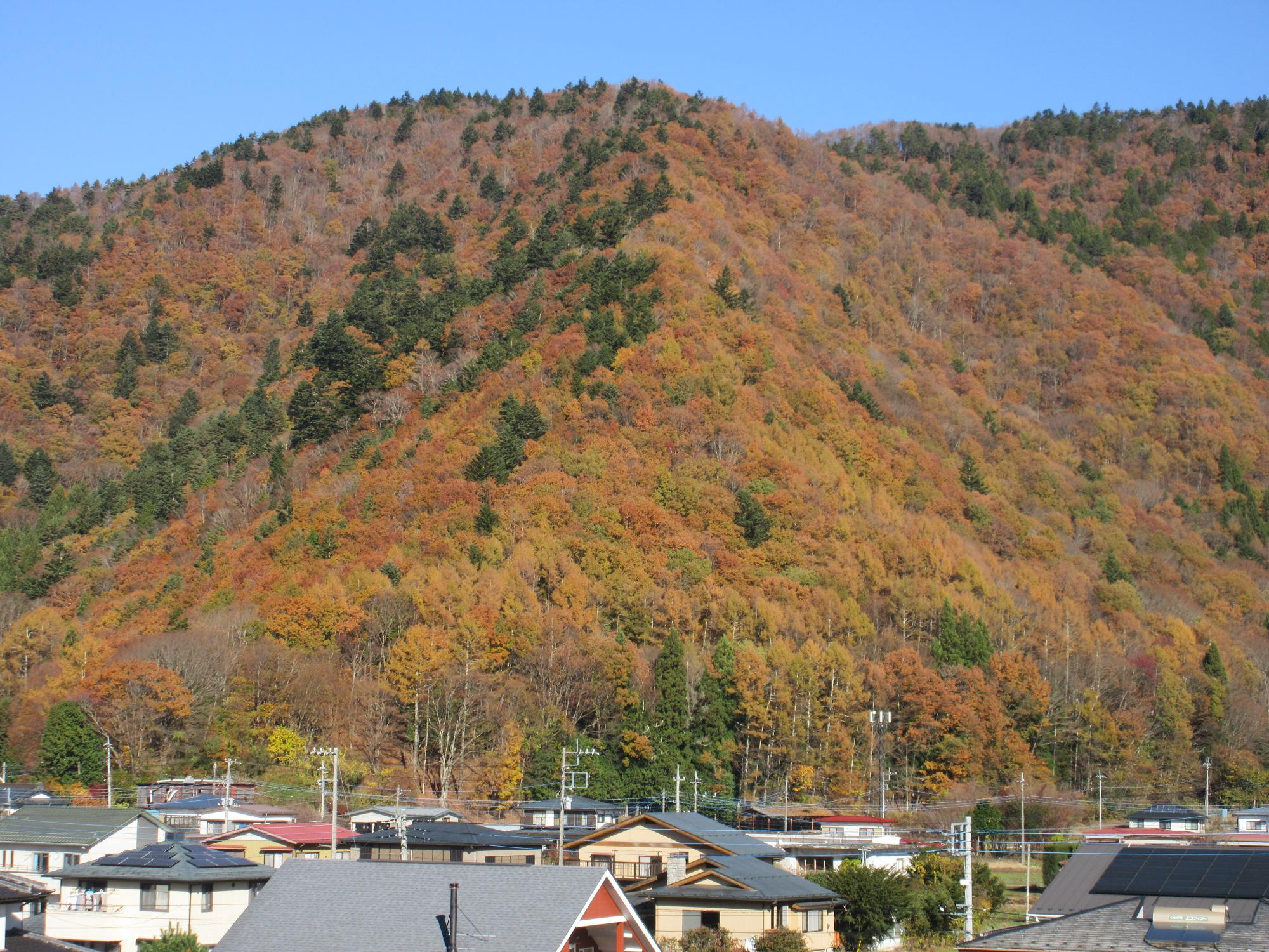 令和6年11月22日 足和田山2