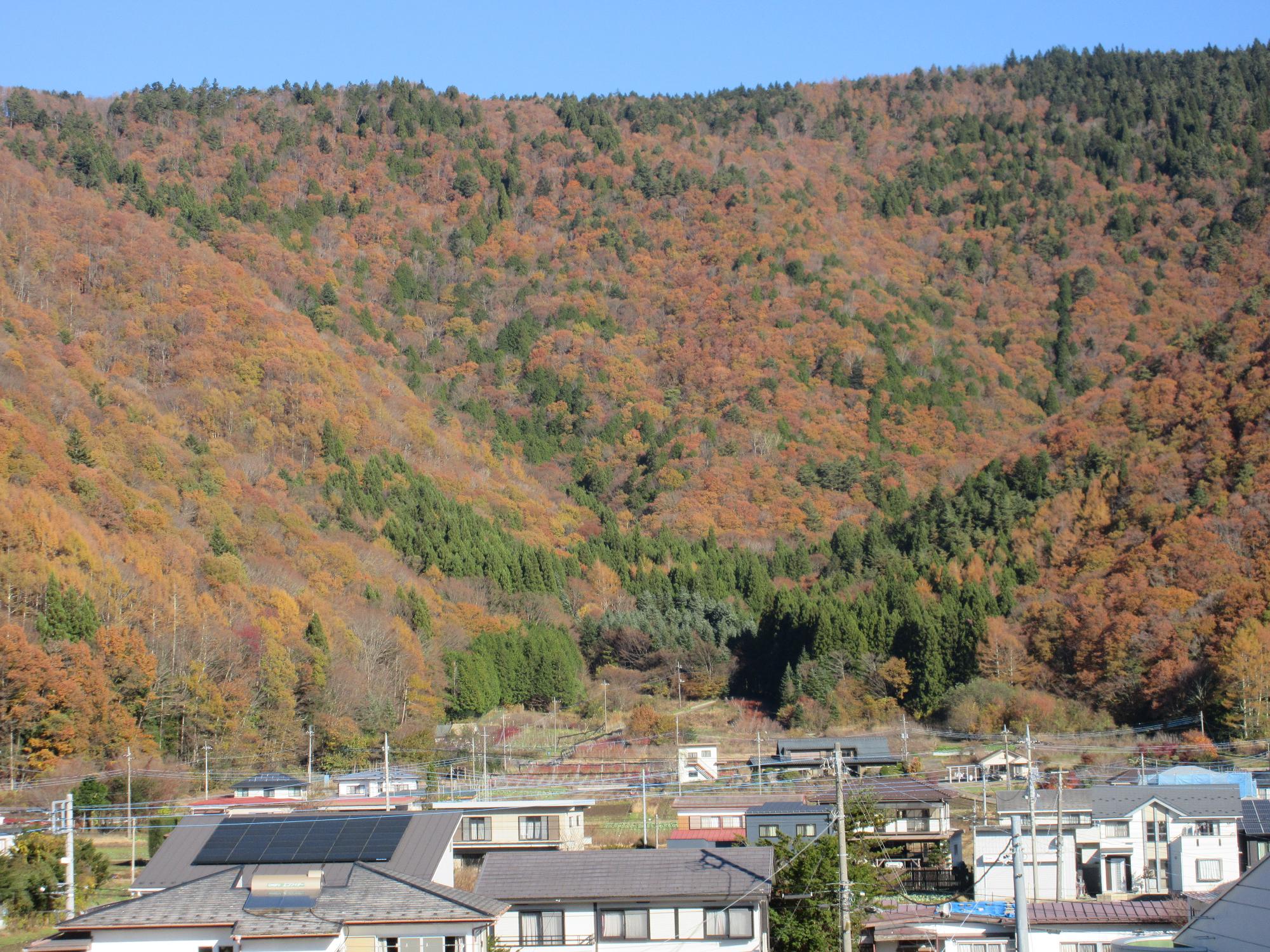 令和6年11月22日 足和田山3