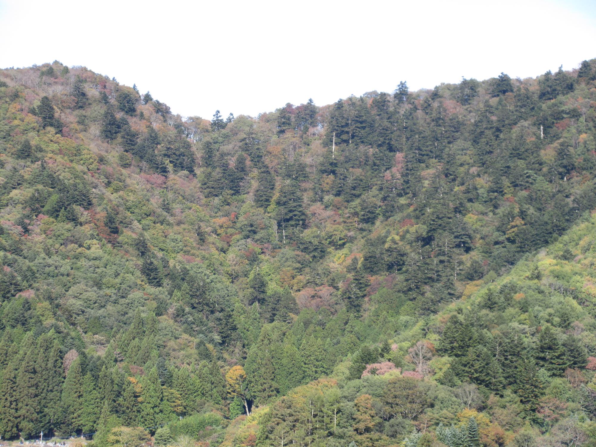 令和6年10月31日 足和田山