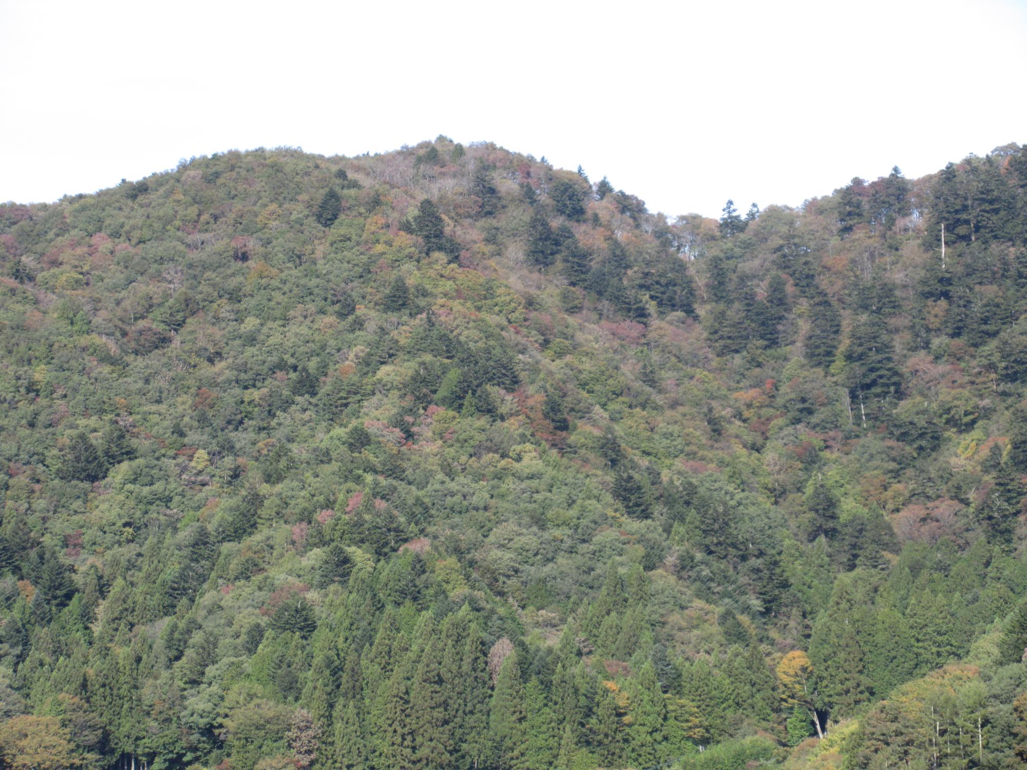 令和6年10月31日 足和田山