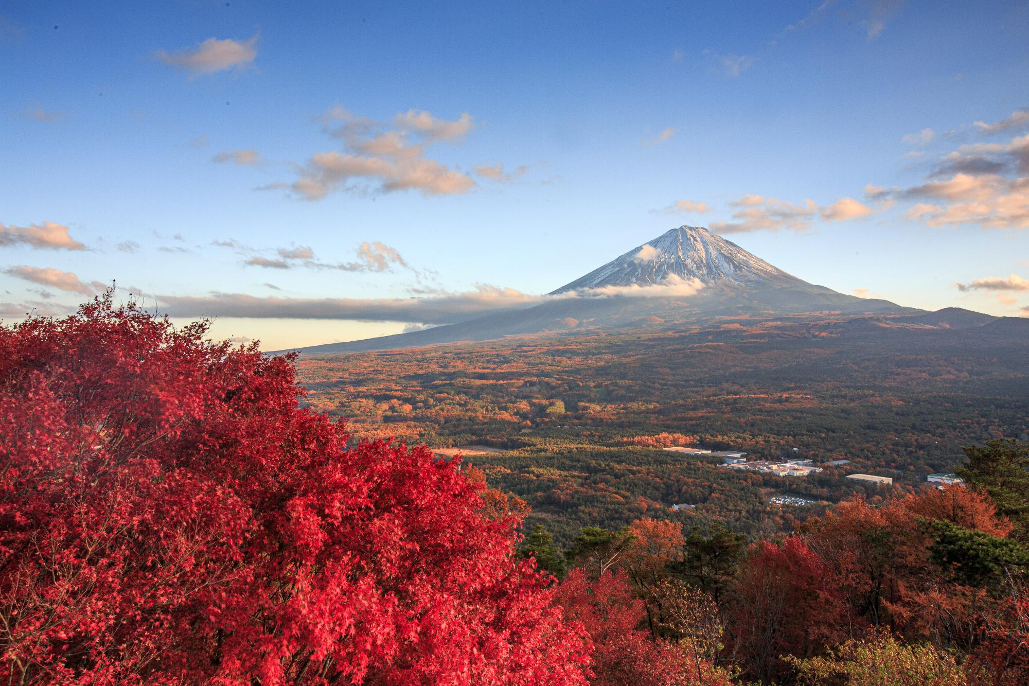 紅葉と富士山