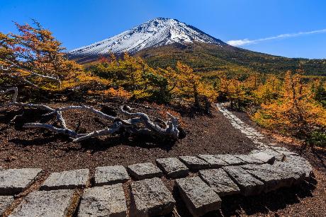 富士山奥庭写真