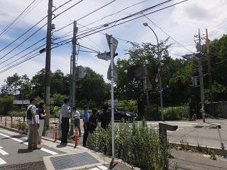 横断歩道を点検する様子の写真