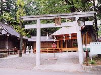 白い鳥居の奥に境内の建物が見える八幡神社の写真
